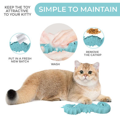 BPA 없는 실리콘 해마 애완동물 장난감